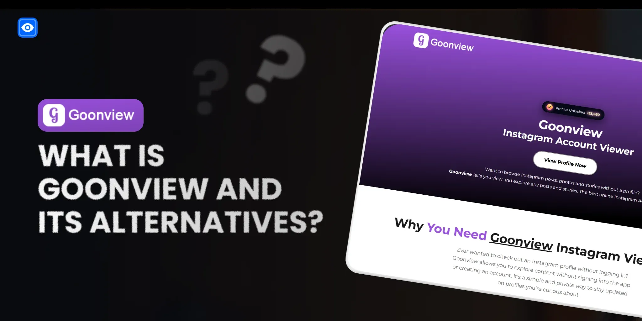 Goonview website review