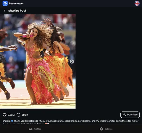Peekviewer userspace showing an Instagram profile without the comment section mess.