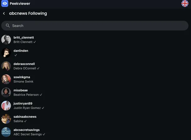 Dashboard di Peekviewer che monitora i follower.