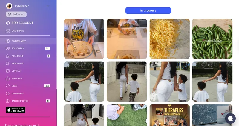 Peekviewer instagram anonymous story viewer 