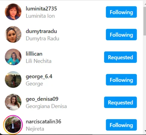 Following List on Instagram Following List on Instagram