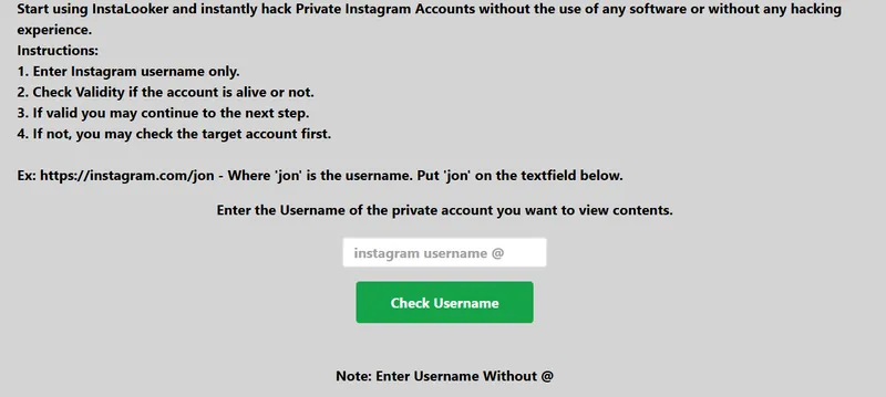 How Instalooker Works Step 1 – by Private Instagram Viewer Free