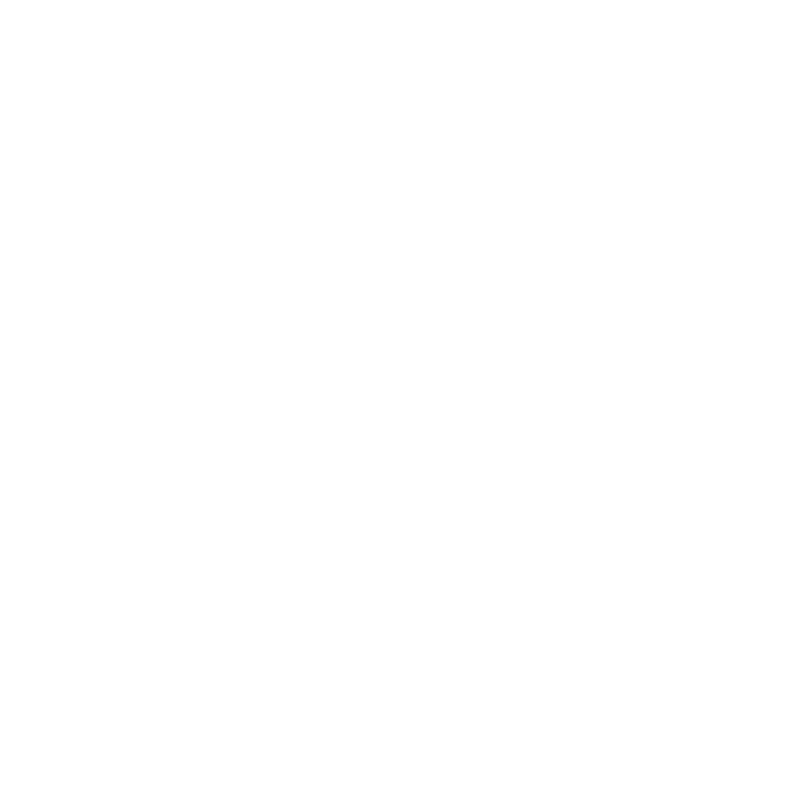 X social media icon