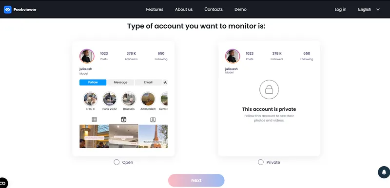 How to Use Peekviewer Blocked Instagram Account Viewer - choose account type How to Use Peekviewer Blocked Instagram Account Viewer - choose account type