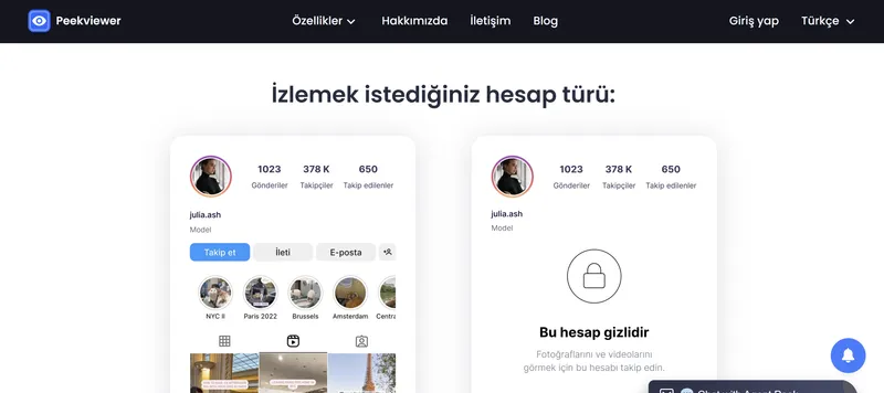 Peekviewer Nasıl Kullanılır: Instagram Hesap Türünü Seçme