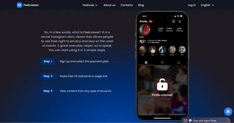 Peekviewer as the StoriesDown alternative for viewing stories and private profiles.