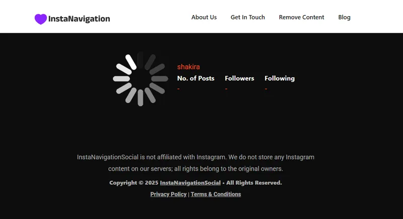 Instanavigation website bad operation, reviewed by Peekviewer