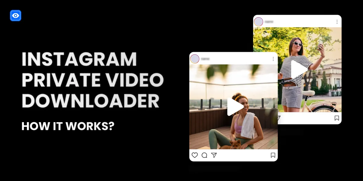 Instagram private story downloader