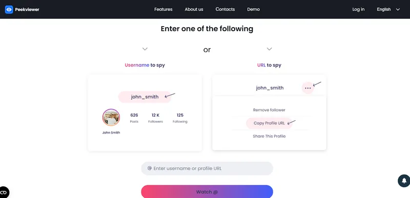 How Peekviewer Works Step 2 – by Private Instagram Viewer Free