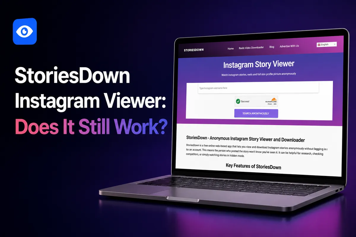 StoriesDown Instagram Viewer Review