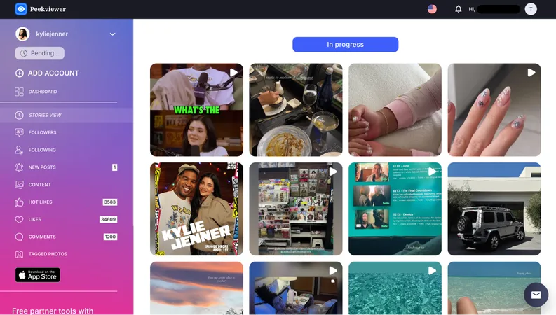 Peekviewer private Instagram viewer dashboard showing monitored profile activity, follower data, and user space
