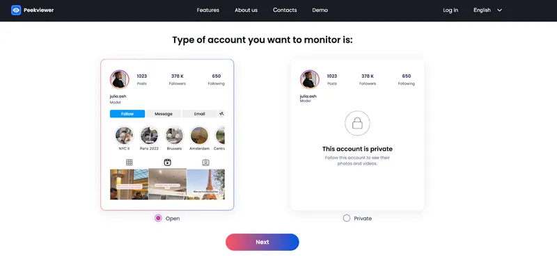 How to use Peekviewer: choosing IG account type How to use Peekviewer: choosing IG account type
